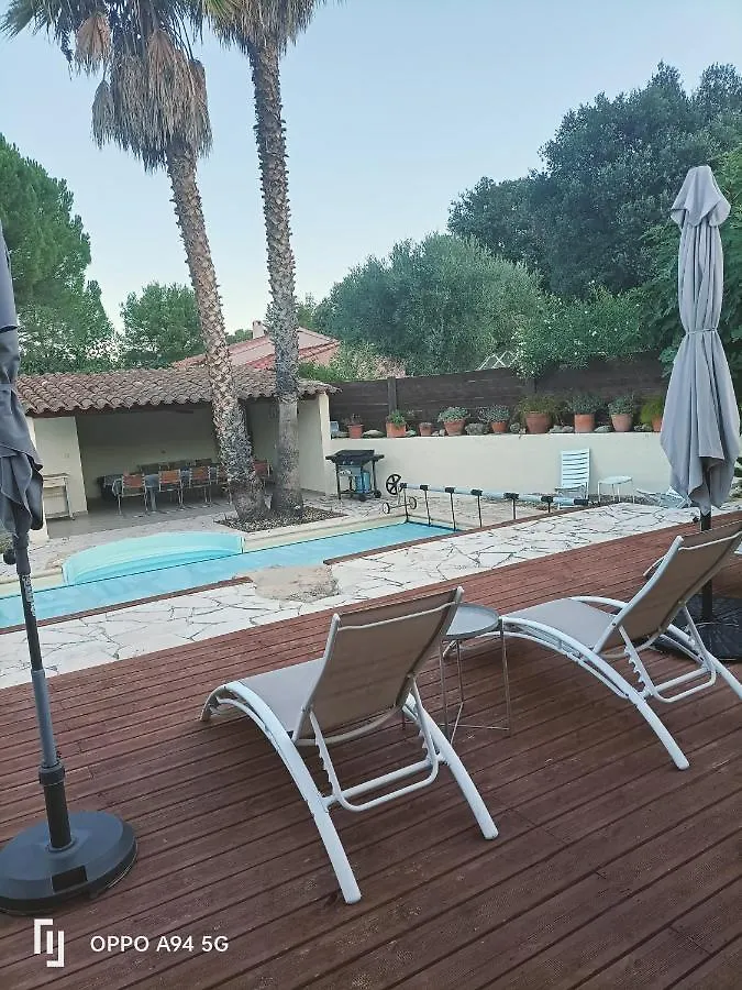 Les Palmiers 1 Villa Le Beausset Holiday home